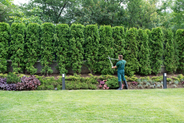 Best Lawn Edging Services  in Monarch Mill, SC